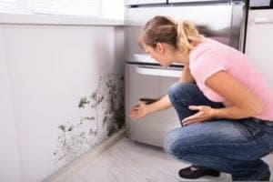 Sewer Backup