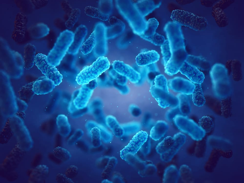 Stop Germs this Winter with a UV Air Purifier