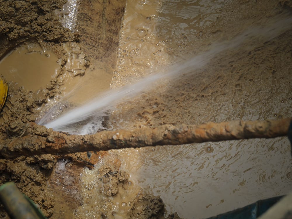 What to Do When Your Water Pipes Burst